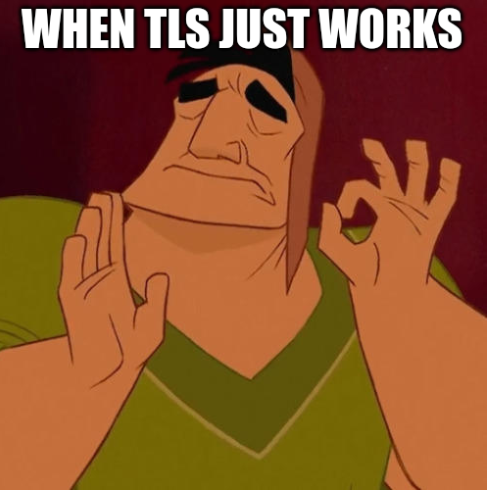 that feeling when TLS just works